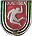 Sports badge