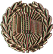 Award the State Council. Diploma of the State Council of the Udmurt Republic