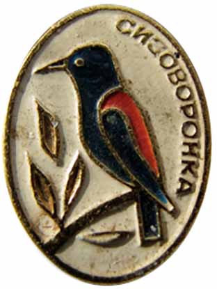 Знак сувенирный с изображением сизоворонки