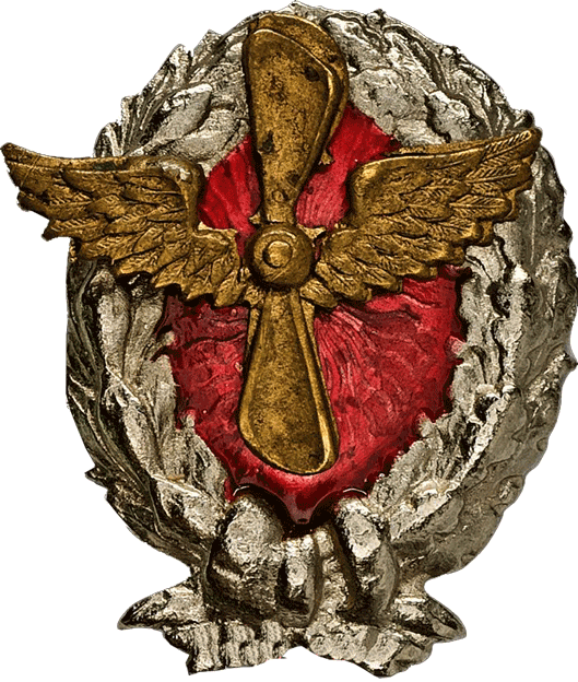 Знак Красного военного летчика